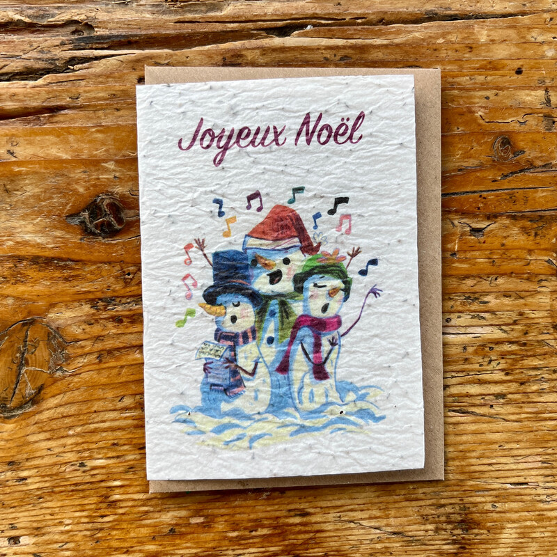 Carte à planter " Joyeux Noël "