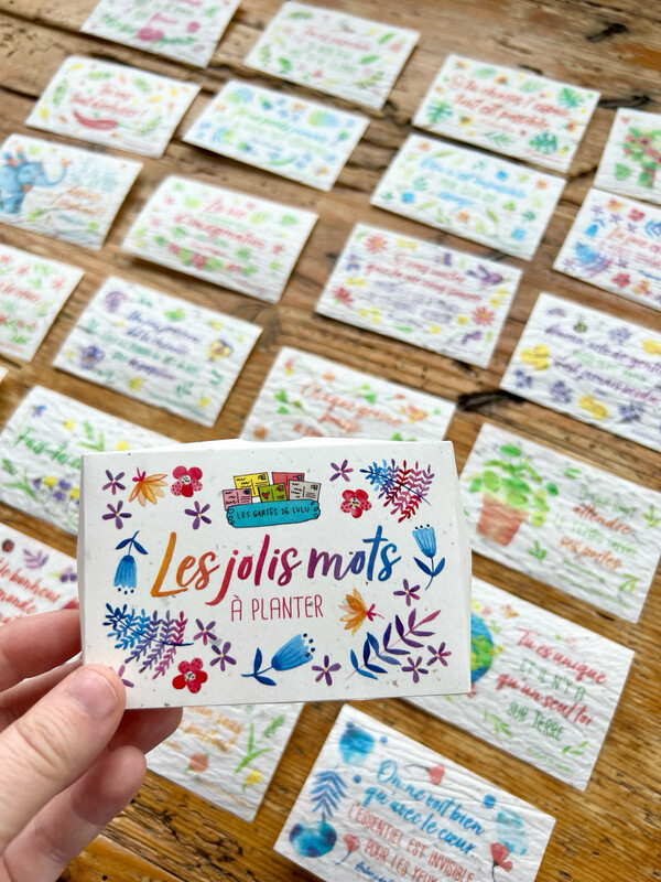 Les jolis mots à planter 2 avec 20 minis mots