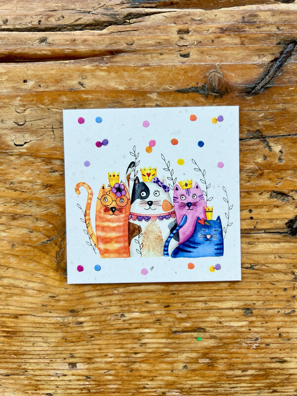 Carte traditionnelle carré «chats »