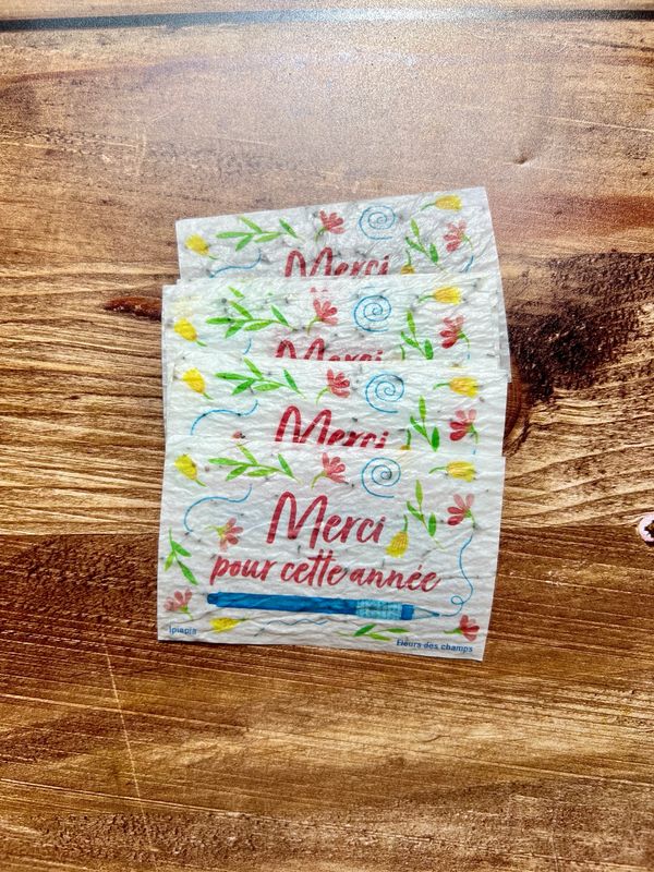 Lot de 10 minis cartes à planter « merci pour cette année » fleurs des champs