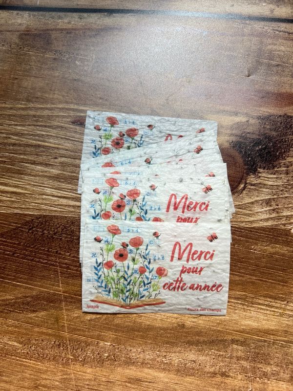 Lot de 10 minis cartes à planter « merci pour cette année » fleurs des champs