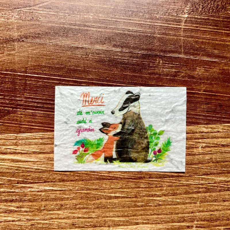 Mini carte à planter « merci de m’avoir aidé à grandir » fleurs des champs