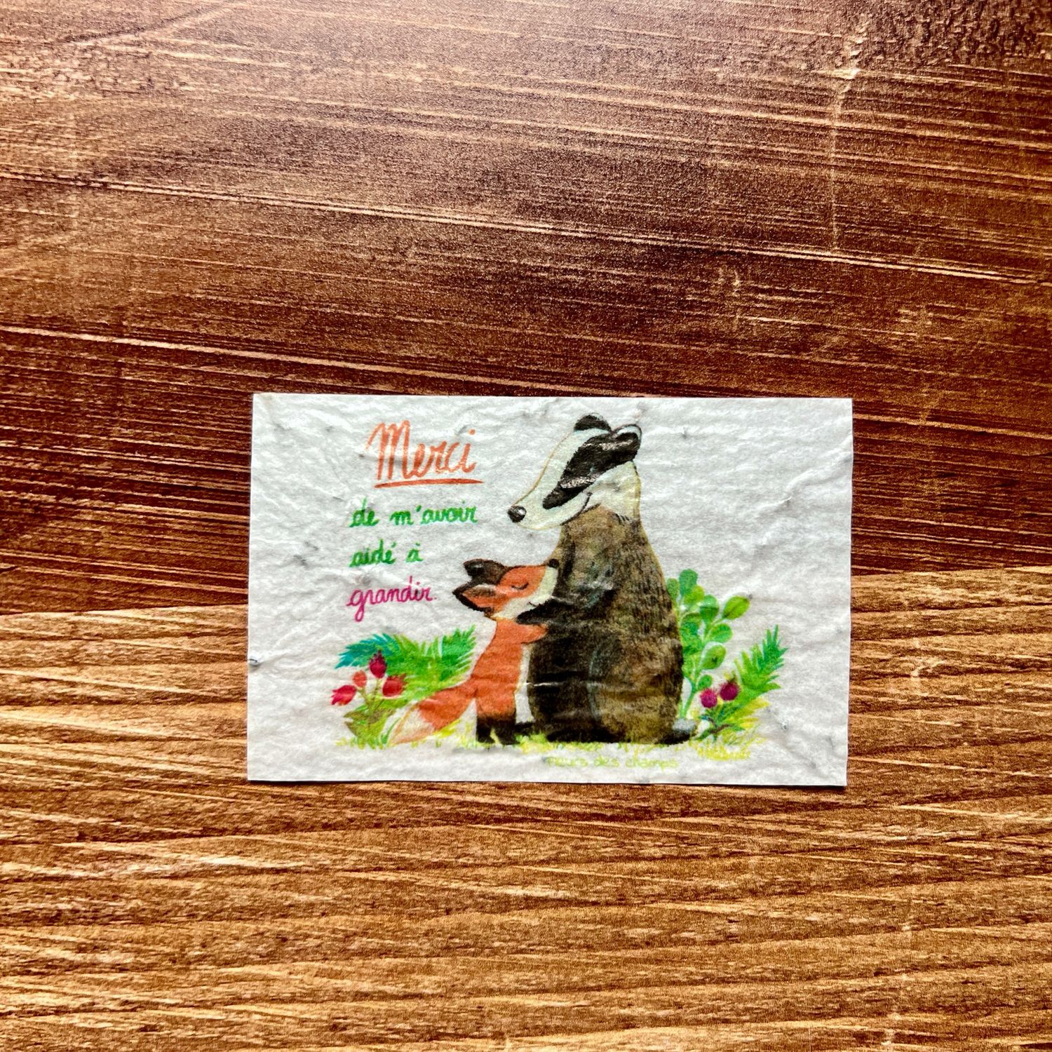 Mini carte à planter « merci de m’avoir aidé à grandir » fleurs des champs