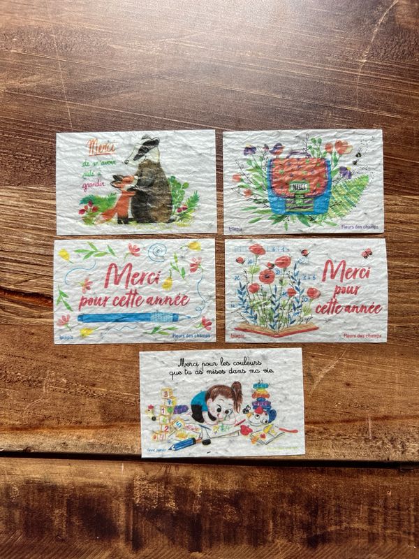 Lot de 10 minis cartes à planter fin d’année scolaire fleurs des champs