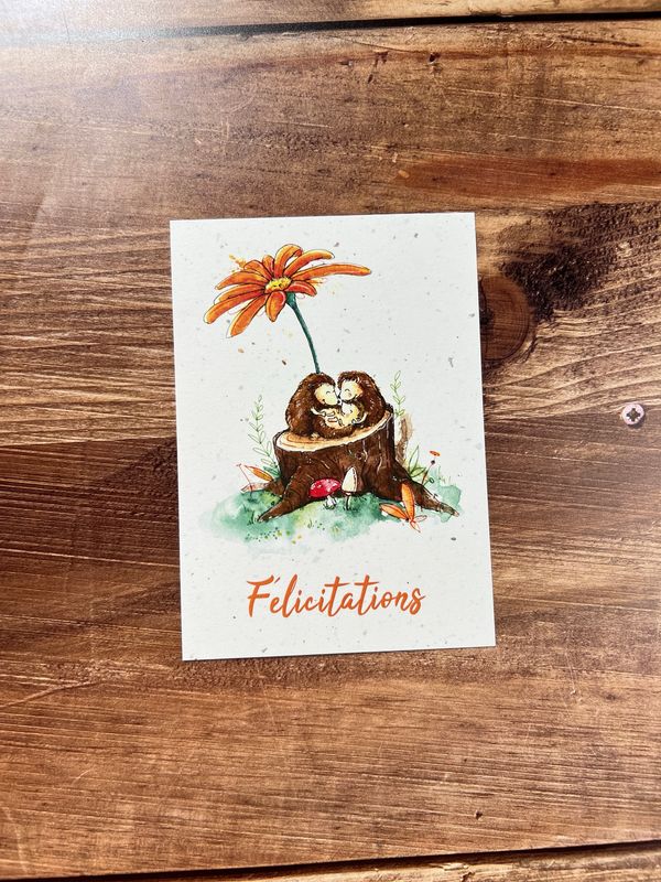 Carte traditionnelle A6 « Félicitations » - naissance