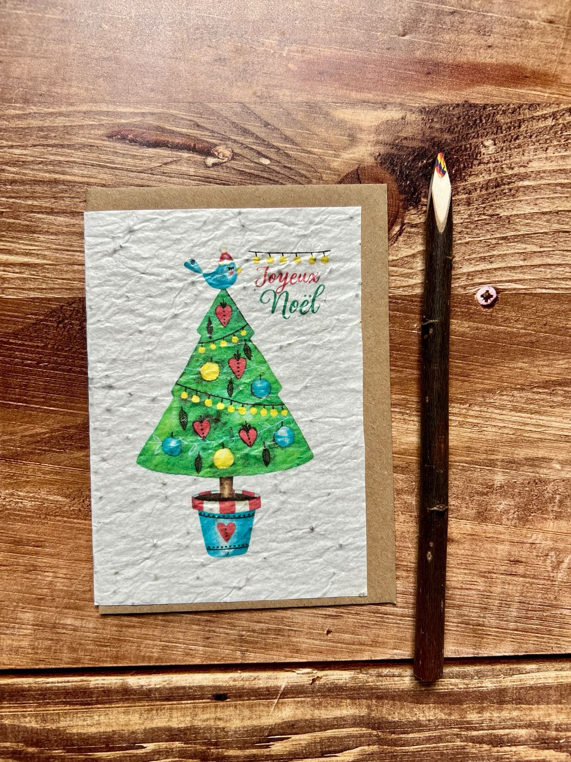 Carte à planter et son crayon artisanal multicolore