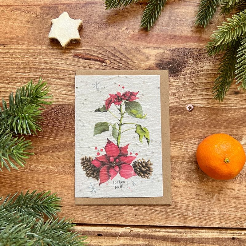 Carte à planter "Poinsettia"