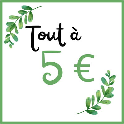 Tout à 5 euros 