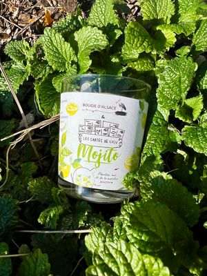 Bougie à planter "Mojito"