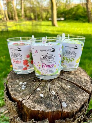 Trio de bougies à planter Trio de bougies à planter "Fleurs", "Fraises" et "Mojito"
