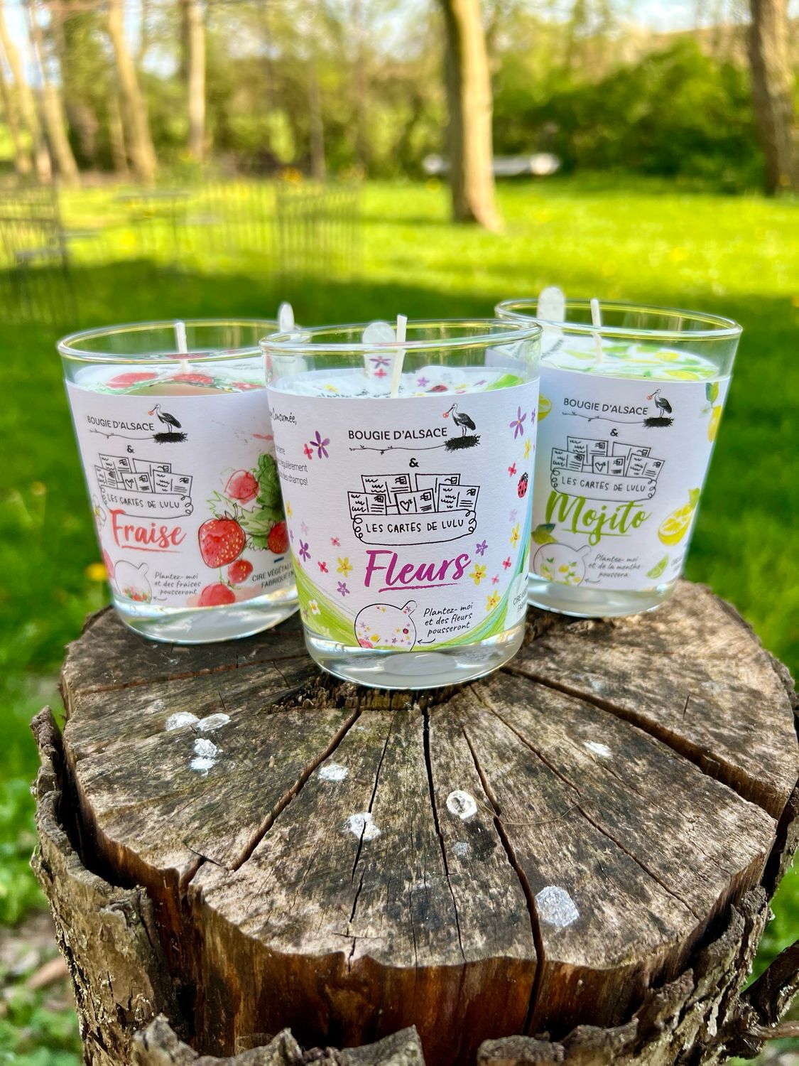 Trio de bougies à planter "Fleurs", "Fraises" et "Mojito"