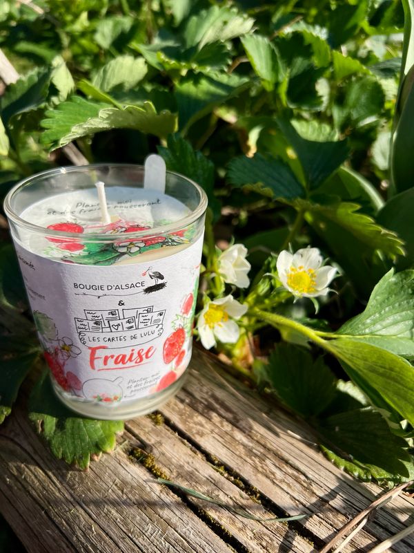 Bougie à planter "Fraise"