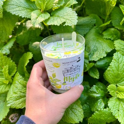 Bougie à planter d'anniversaire "Mojito"