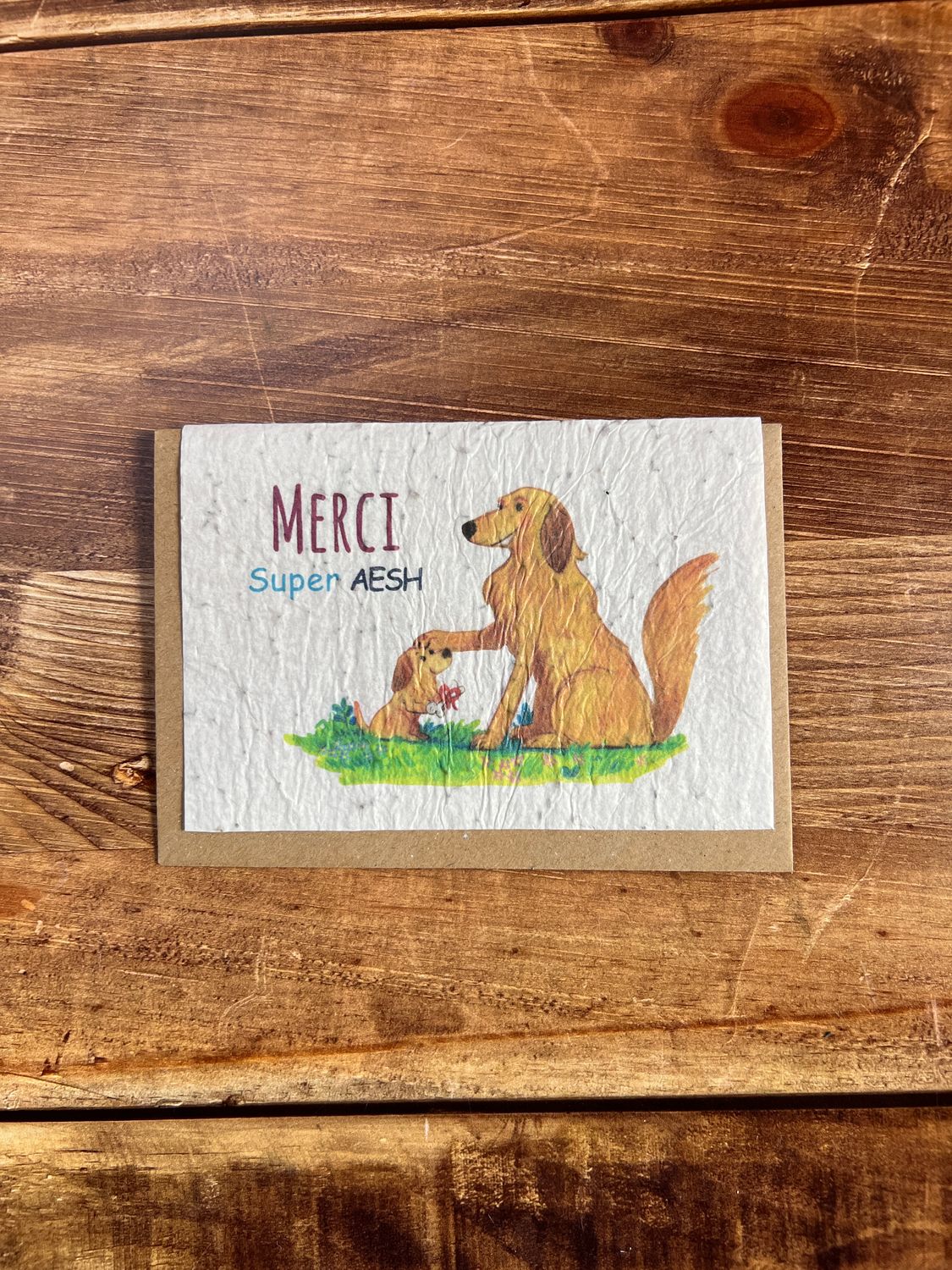 Carte à planter "Merci super AESH"