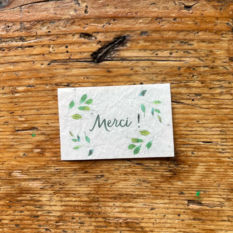 Mini carte à planter double  Mini carte à planter double " merci " herbes aromatiques