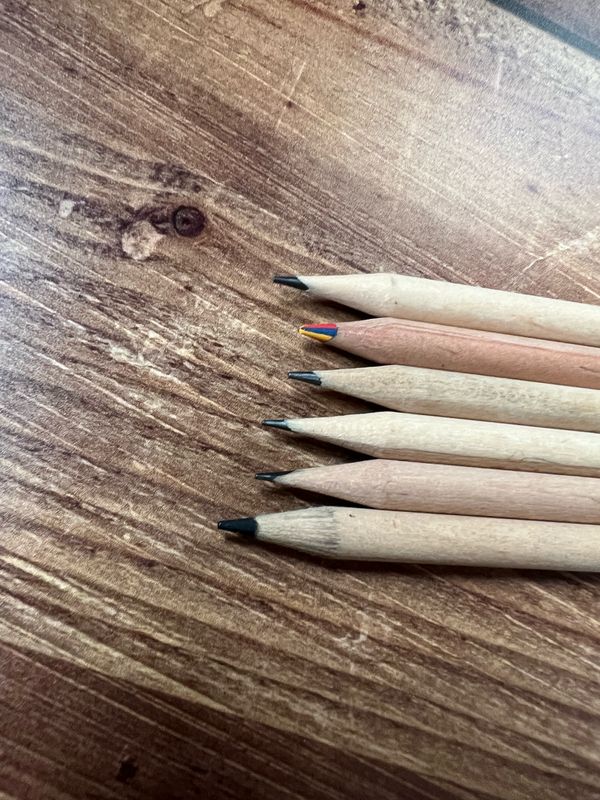 Crayon à planter en bois