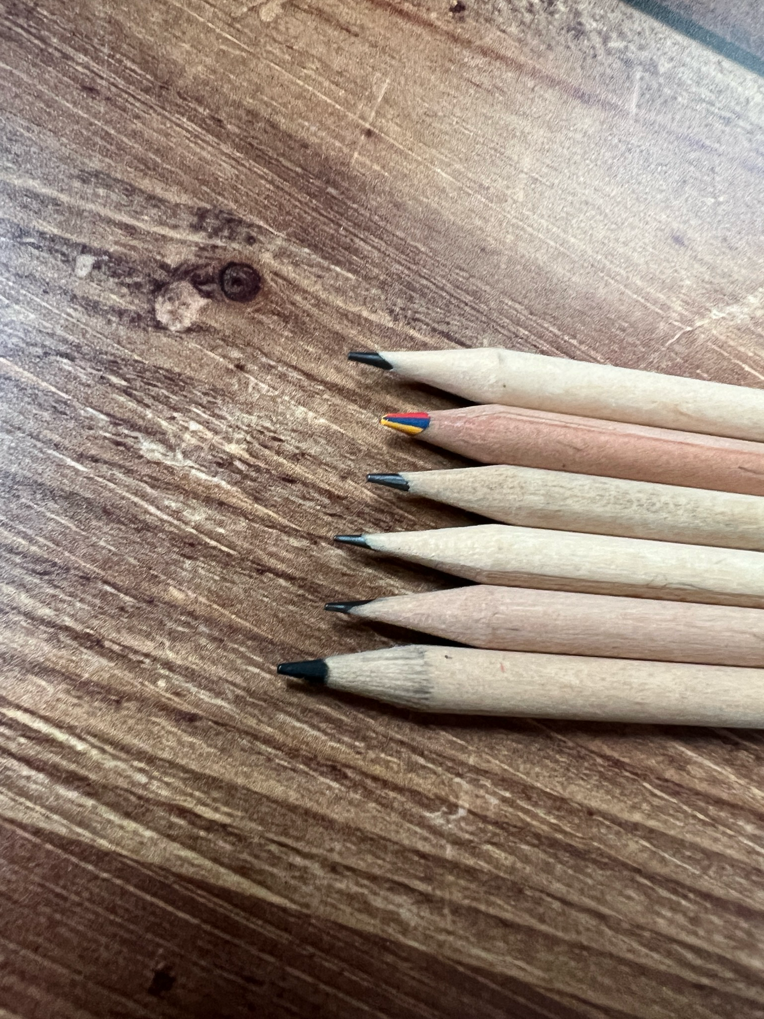 Crayon à planter en bois (gravure en supplément possible)