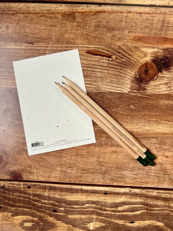 Crayon à planter en bois gravée avec phrase encourageante