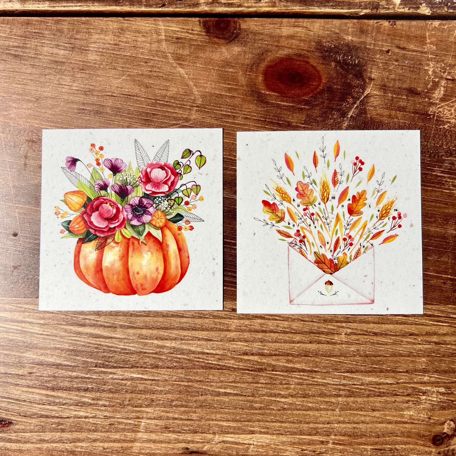 Carte en chute de bulbe de tulipe 9x9 cm automne