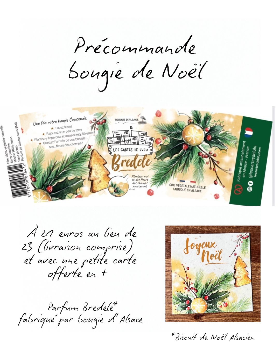 Précommande bougie à planter de Noël « Bredele »