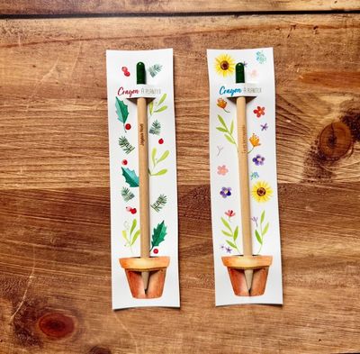 Crayons et règles ✏️?