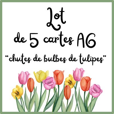 Lot de 5 cartes A6 en chute de bulbes de tulipe « surprise » Lot de 5 cartes A6 en chute de bulbes de tulipe « surprise »