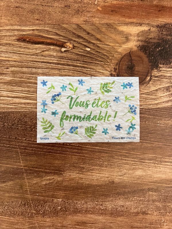 Lot de 100 minis cartes à planter « vous êtes formidables » Lot de 100 minis cartes à planter « vous êtes formidables »