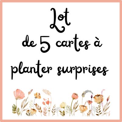 Lot de 5 cartes à planter « surprise » Lot de 5 cartes à planter « surprise »