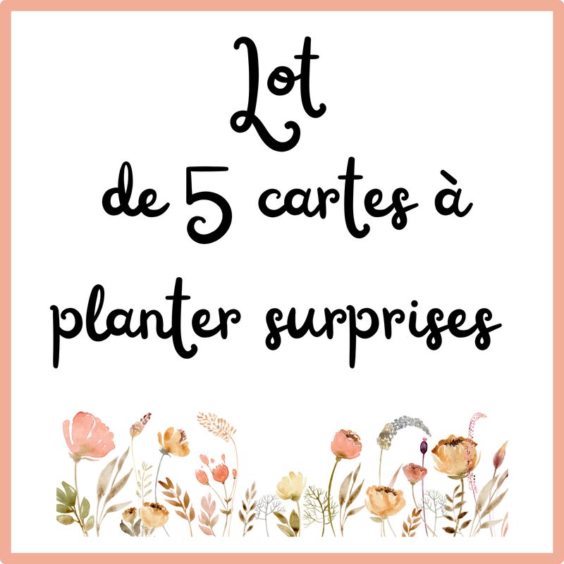 Lot de 5 cartes à planter « surprise » Lot de 5 cartes à planter « surprise »