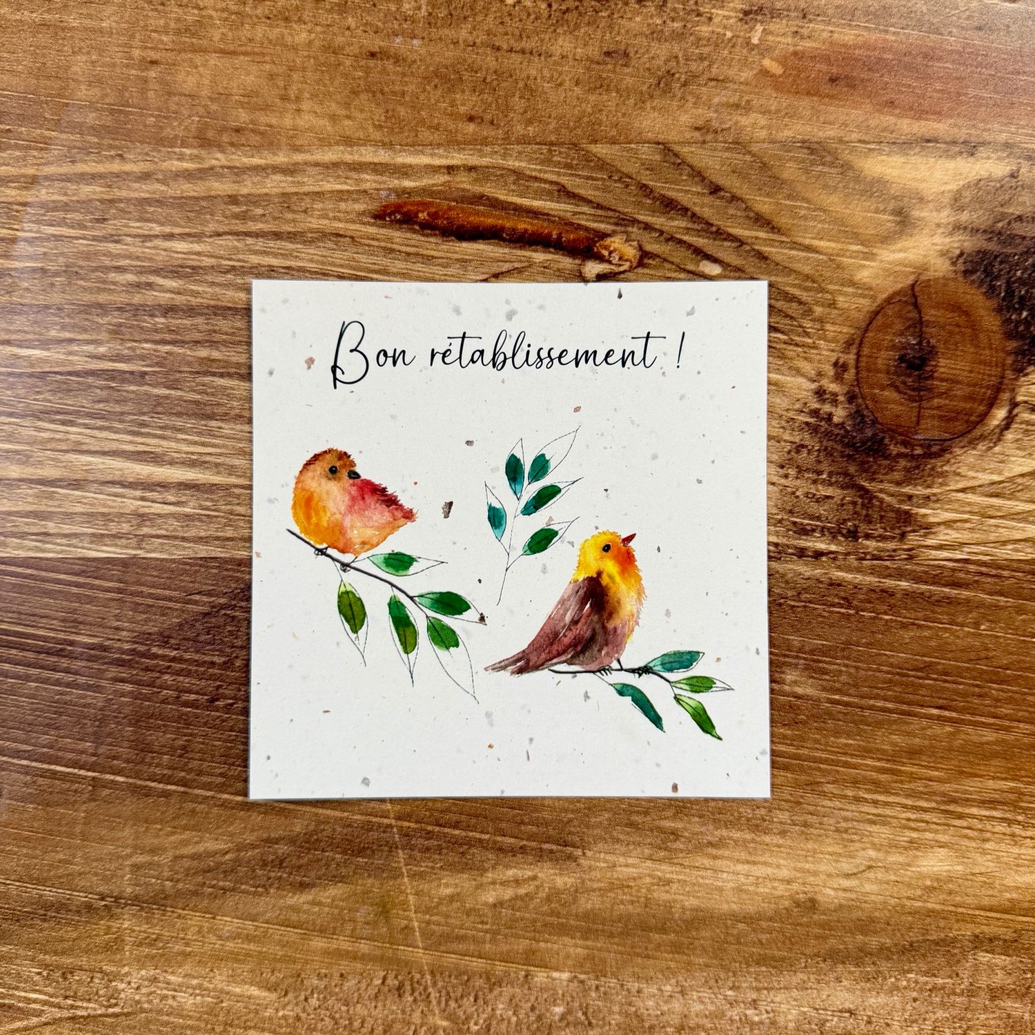 Mini cartes “Bon rétablissement” / “Prends bien soin de toi” – papier aux chutes de bulbes de tulipes – 9x9 cm Mini cartes “Bon rétablissement” / “Prends bien soin de toi” – papier aux chutes de bulbes de tulipes – 9x9 cm, Illustration :: Bon rétablissement - Delphine Balme