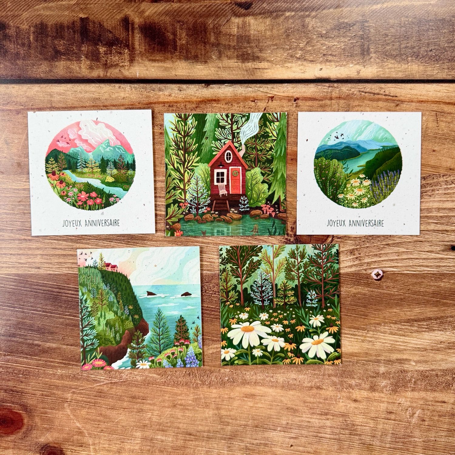 Cartes postales illustrées en papier de bulbes de tulipes – au choix (5 modèles)