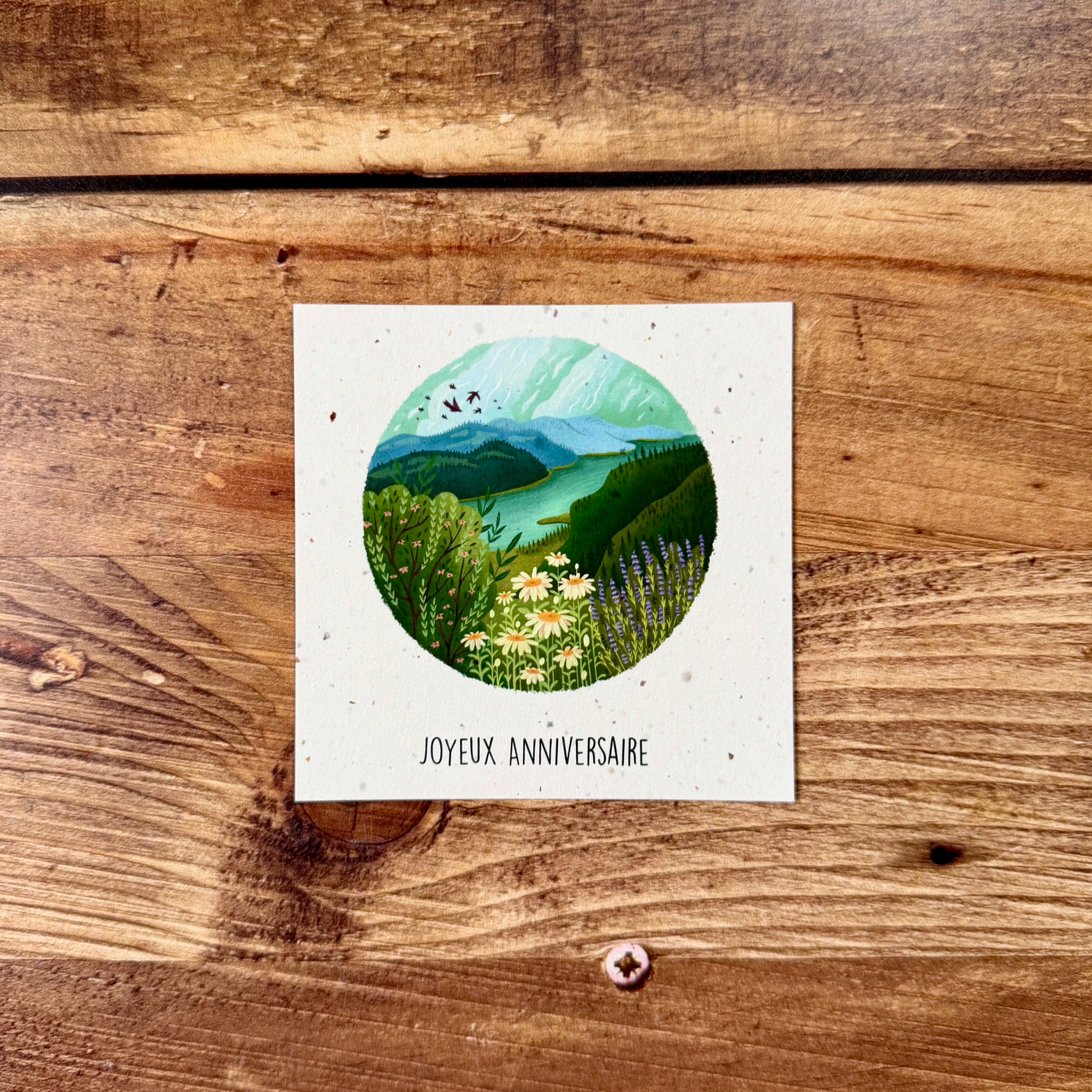 Cartes postales illustrées en papier de bulbes de tulipes – au choix (5 modèles)