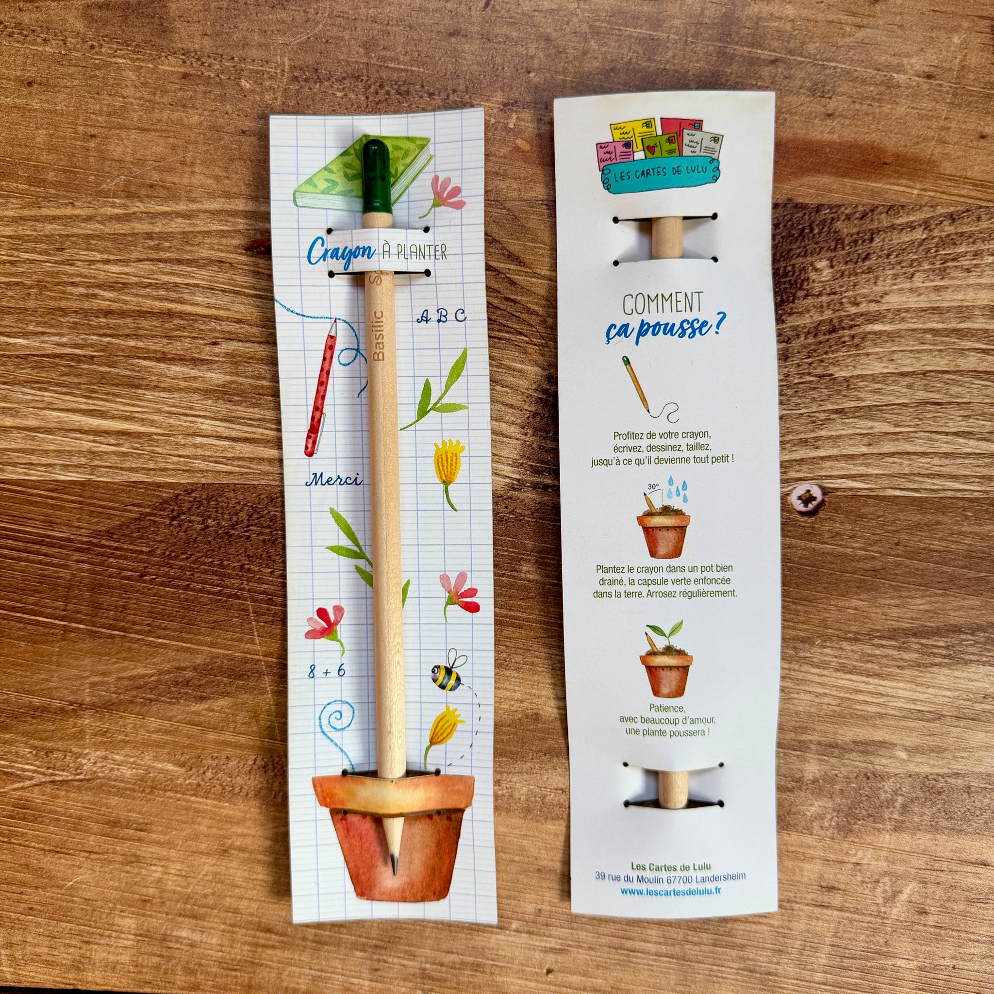 Crayon à planter école - remerciement maîtresse / maître (gravure en supplément possible)