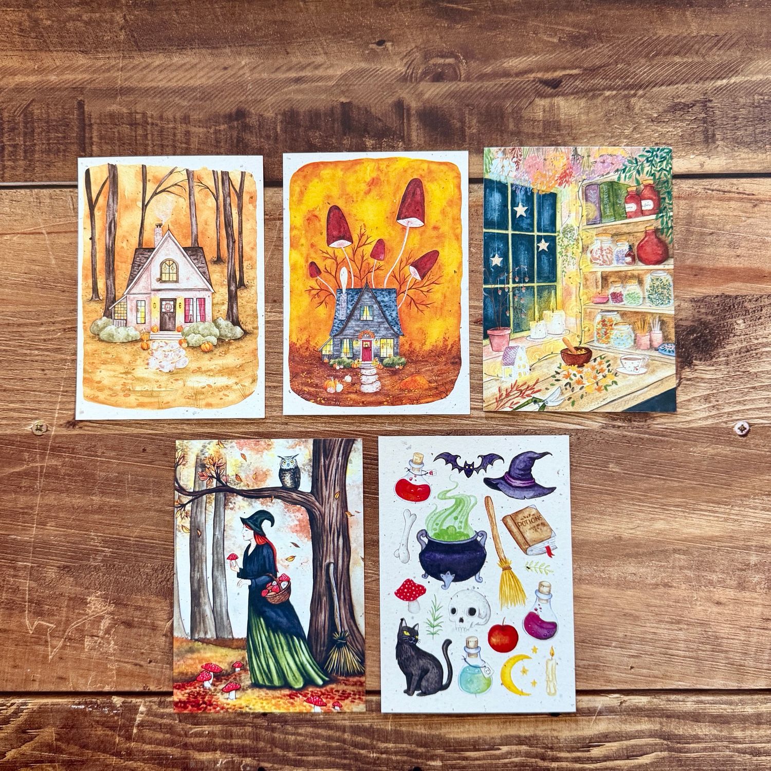 Carte sorcière d'automne & Halloween – papier chute de bulbes de tulipes – illustrée par Louise Gobinet et Georgia Zervos (5 modèles au choix) Carte sorcière d'automne & Halloween – papier chute de bulbes de tulipes – illustrée par Louise Gobinet et Georgia Zervos (5 modèles au choix)