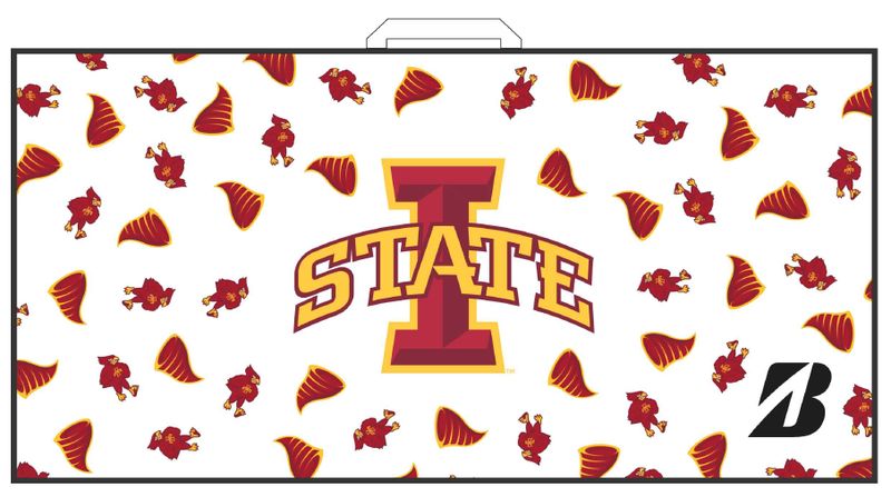 I-State Towel by Bridgestone
