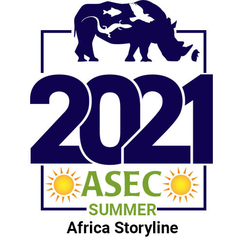 Preparing to Launch:  An immersion in the Africa Storyline