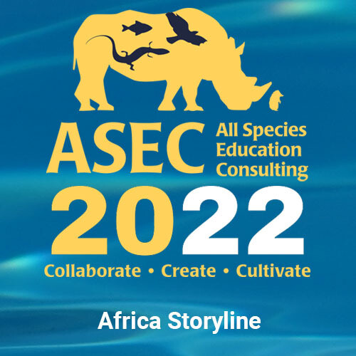 Preparing to Launch: An immersion in the Africa Storyline