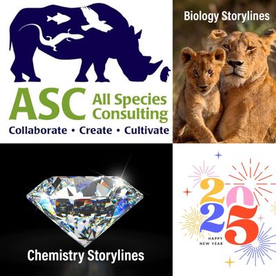 2025 Storyline Virtual Workshops
