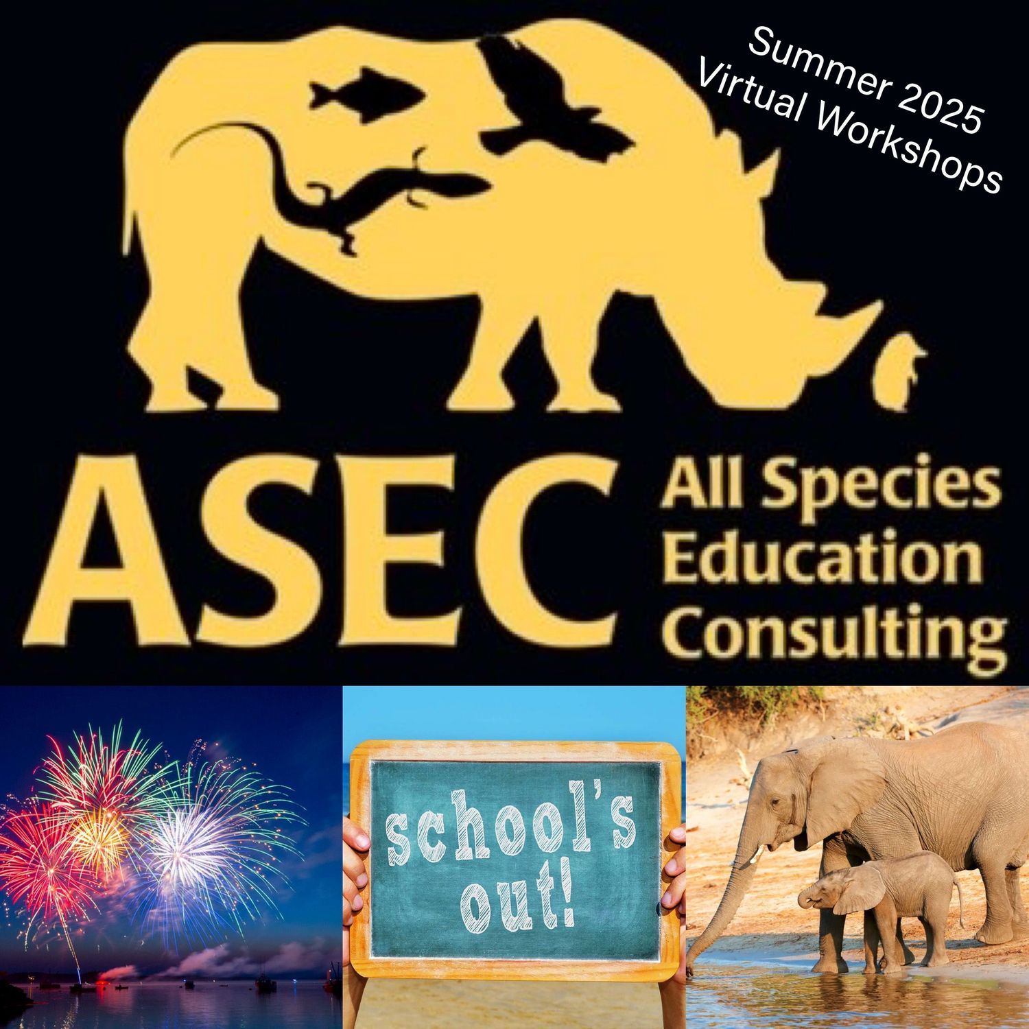 SUMMER 2025 Biology Storyline Virtual Workshops