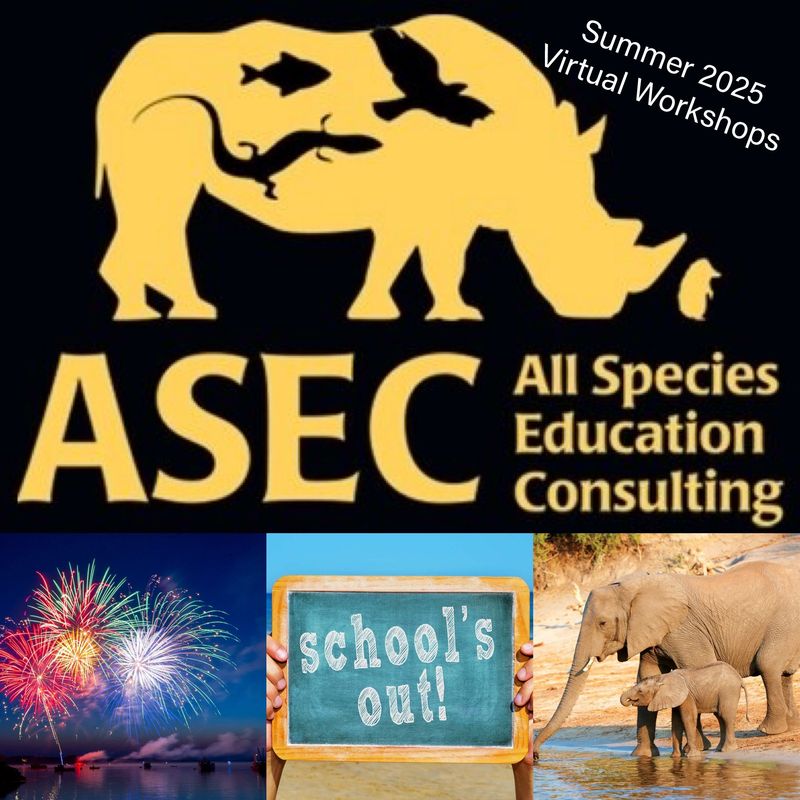 SUMMER 2025 Biology Storyline Virtual Workshops