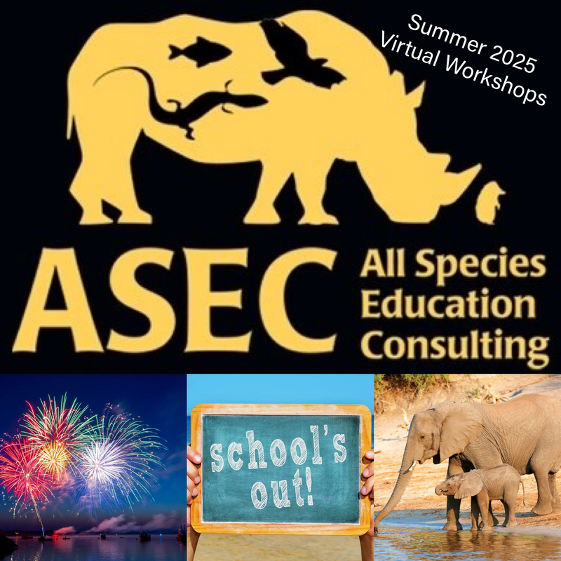 SUMMER 2025 Chemistry Storyline Virtual Workshops
