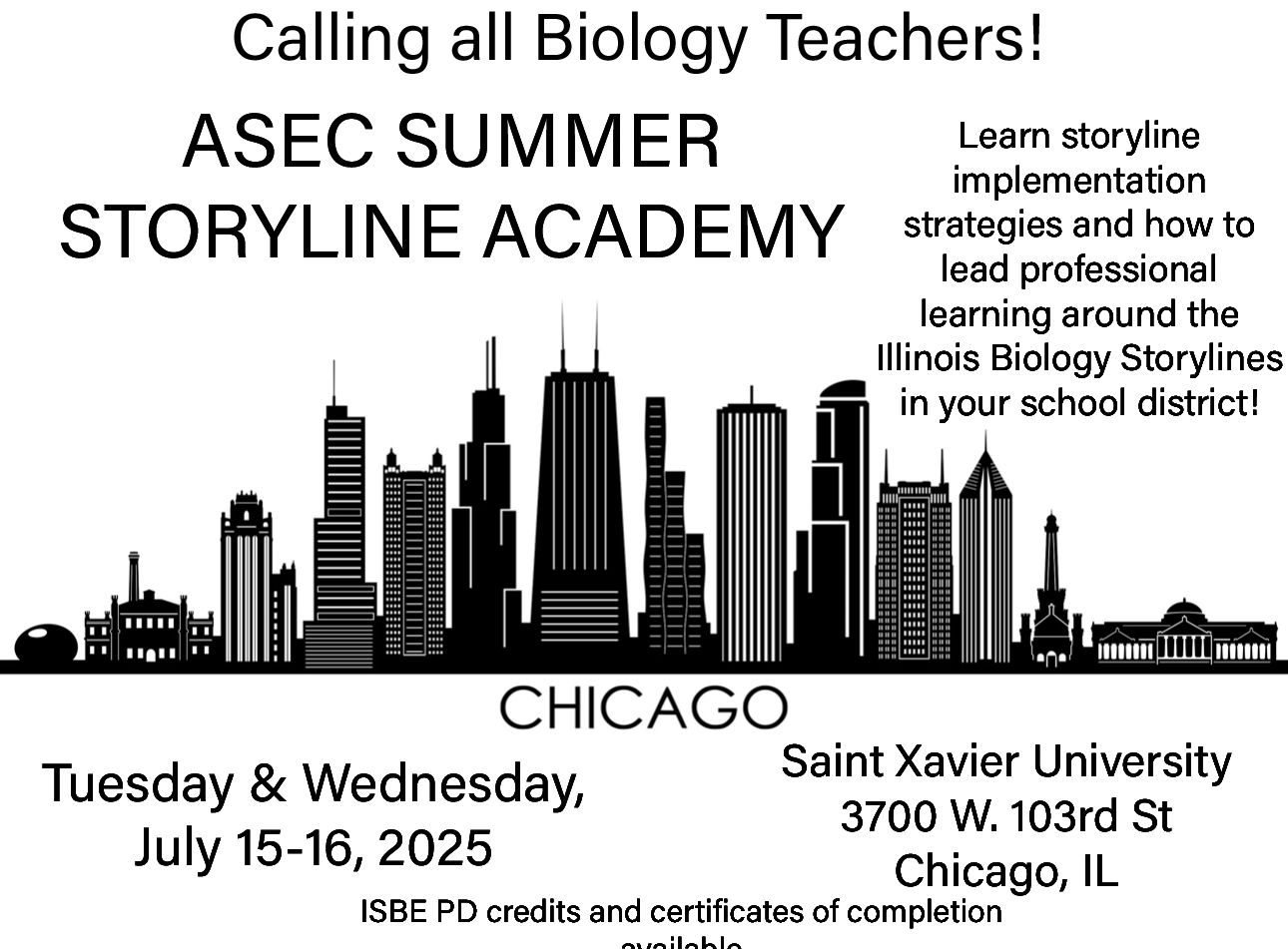 Chicago Summer Storyline Academy