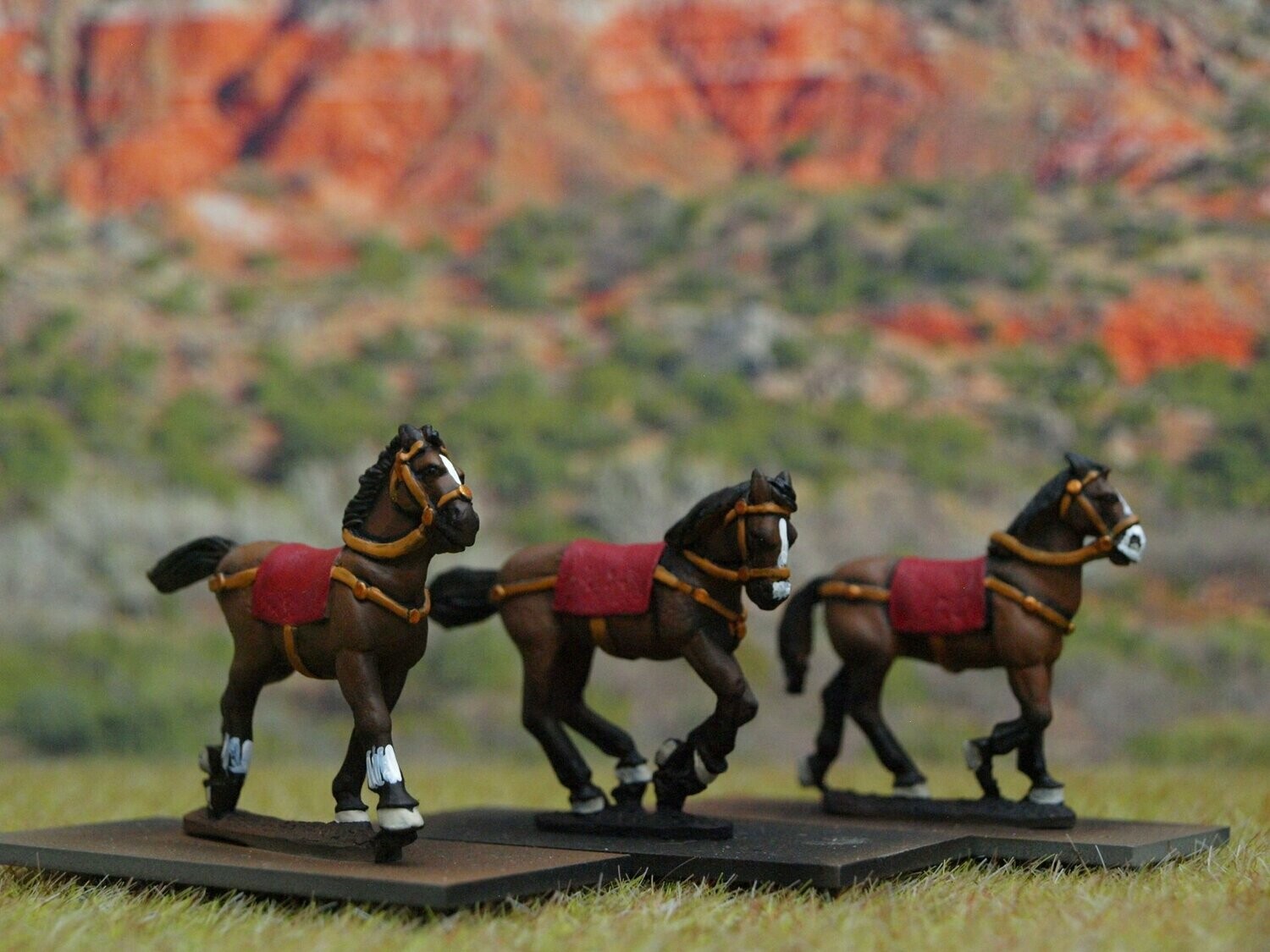 H2 Unarmoured Dark Age horses