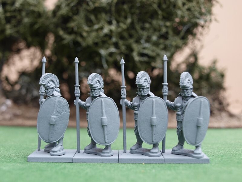 AVS17  oval scutum  Praetorian shield