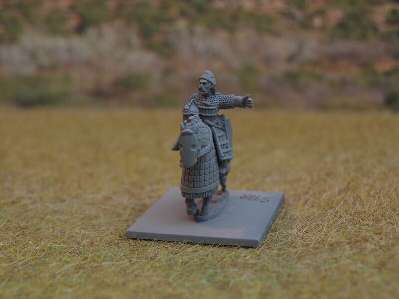 ST18 Steppe noble or Eastern Sassanid ally
