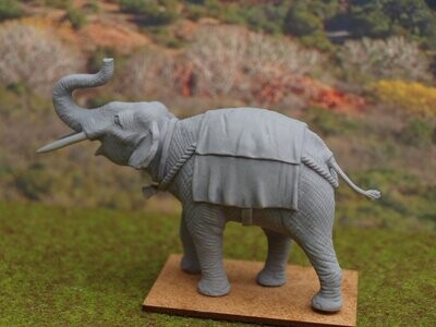 EL01 Indian Elephant trunk raised