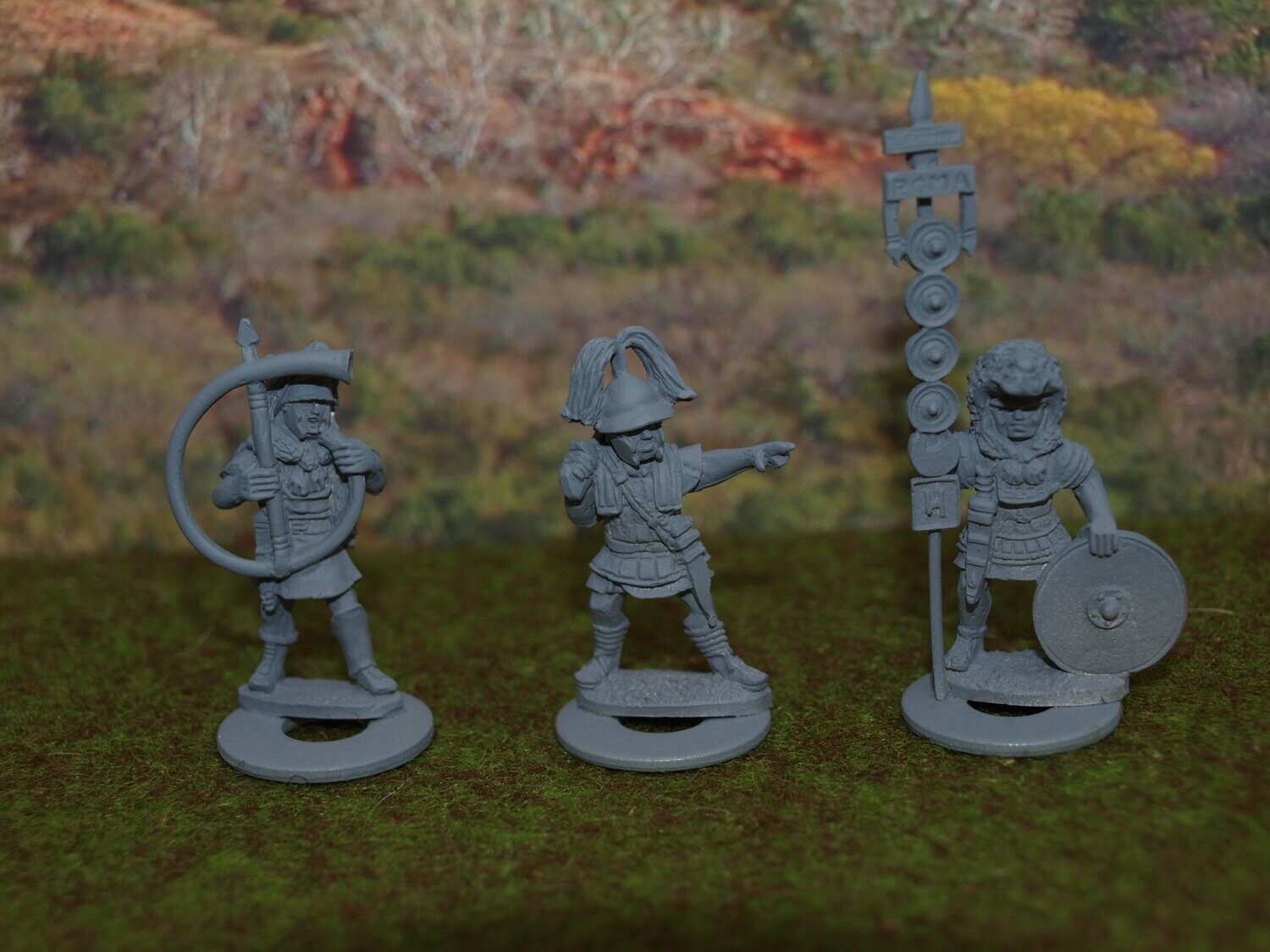 RR08 Standing Hastati command
