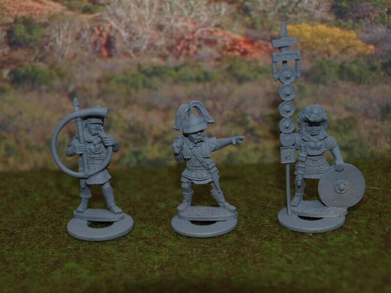 RR08 Standing Hastati command