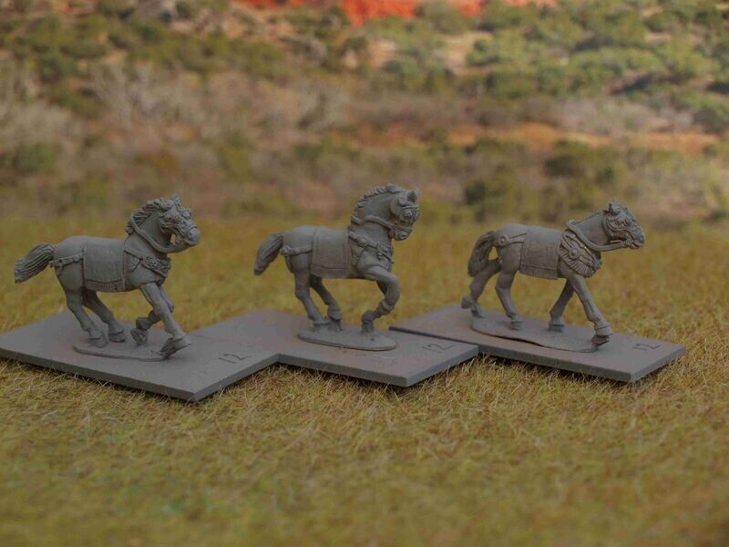 H12 horses in plain tackle