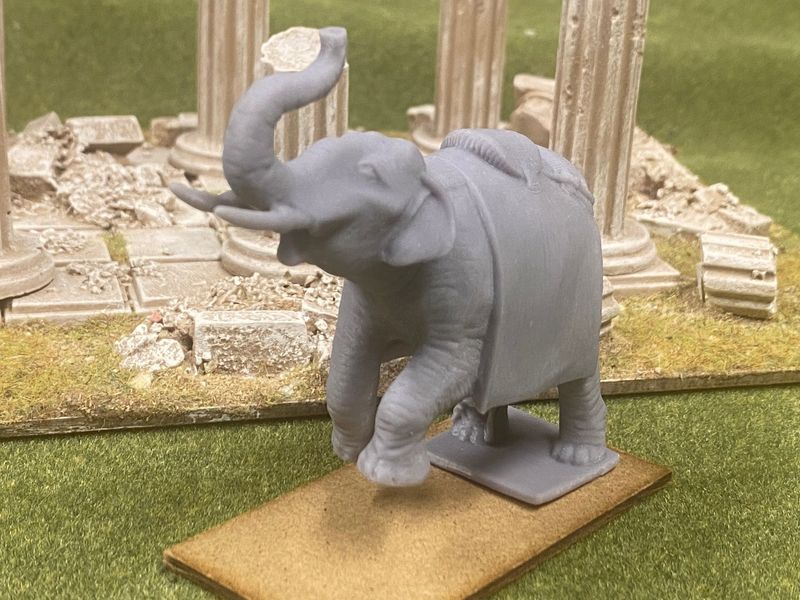 ELS00 Rearing Elephant